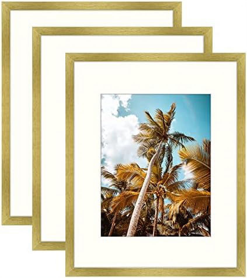 , 16X20 Picture Frame With Mat For 11X14 Picture High Definition