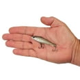 thumbnail image 4 of Berkley Ripfish, 7, Stealth Shad, 4 of 5