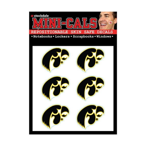 NCAA Iowa Hawkeyes Prime 3" x 5" Mini Face Cal