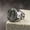 Silver, variant on Men's Christian Cross, Virgin Mary Ring, Men's Stainless Steel 7-13 Size-Gold-9