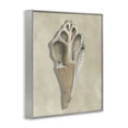 thumbnail image 2 of Stupell Industries Traditional Broken Conch Shell Gray Framed Giclee Art, 24 x 30, by Michael Willett, 2 of 7