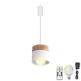 thumbnail image 1 of FSLiving Rechargeable Battery Operated Pendant Light with Sleeve&Round Hook RGB Mode Adjustable Wire Length Hanging Light Columnar Metal White Shade Dimmable Lamp for Courtyard Nightstand - 1 Light, 1 of 7