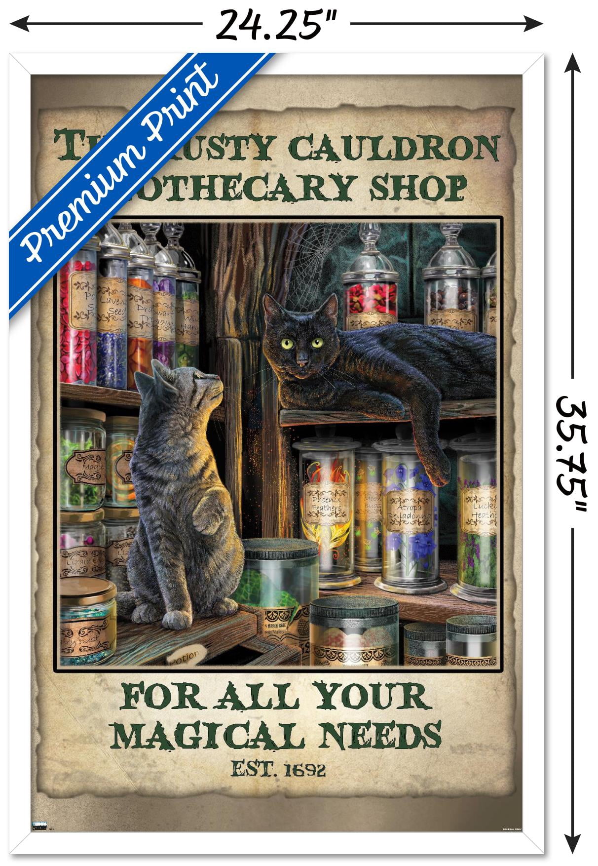Lisa Parker - Apothecary Shop Wall Poster, 22.375" x 34", Framed