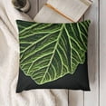 thumbnail image 3 of YINGXI  Leaves Throw Pillow Cover Palm Tropical Botanical Foliage Forest Hawaii Wild Green Home Decor Pillowcase Cushion Cover  20x20in, 3 of 5