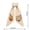 coloro, variant on Fall Wreath Sash, Letter S with Pumpkin Embroidery & Scalloped Trim, Sturdy Fabric, Wreath Accessories for Porch Doorway & Farmhouse Home Decor