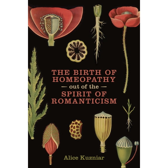 The Birth of Homeopathy Out of the Spirit of Romanticism, (Paperback)