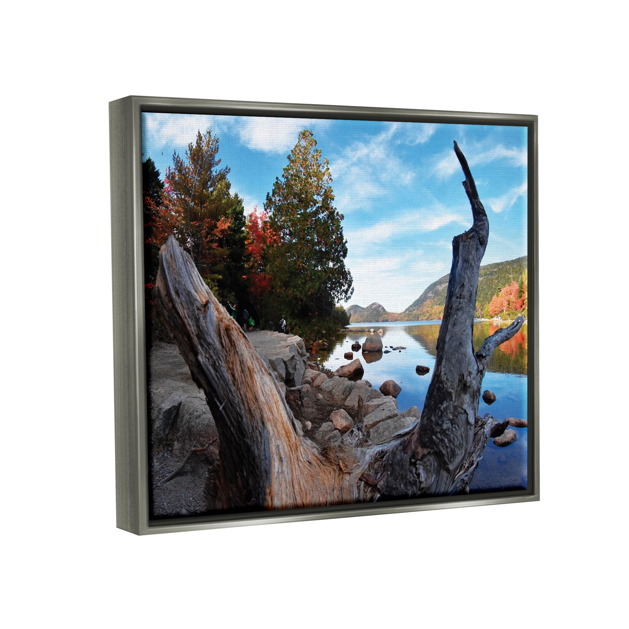 Stupell Industries Autumn Pond Photography Nature Photography Gray Floater Framed Art Print Wall Art, 31 x 25