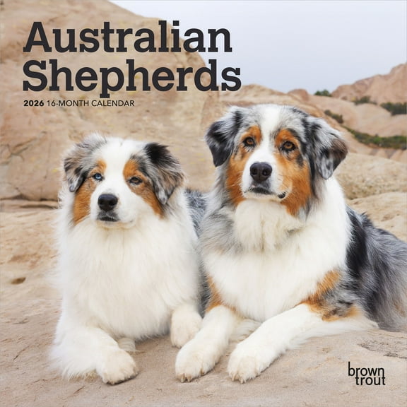 Australian Shepherds 2026 7x14" (Hanging) Monthly Mini Wall Calendar | BrownTrout
