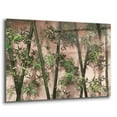 thumbnail image 2 of Epic Art 'Bamboo on Blush' by Lori Deiter Acrylic Glass Wall Art, 36"x24", 2 of 8