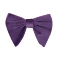 thumbnail image 1 of tredstone Fashionable Velvet Bow Tie With Buckle Exquisite Craft High-end Texture No Loose Thread No Q, 1 of 6