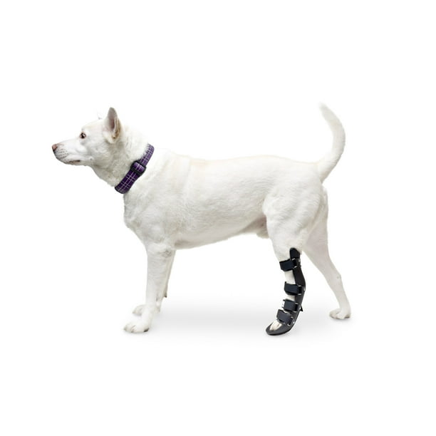 Walkin' Pet Splint for Dog, Canine Rear Leg