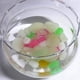 thumbnail image 4 of Guijarros luminosos 100 piezas piedras decorativas para bricolaje BuyWeek, 4 of 7