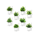 thumbnail image 3 of 8 Piezas Plantas Xtellar blanco Artificiales Macetas Decorativas Bonsai, 3 of 4