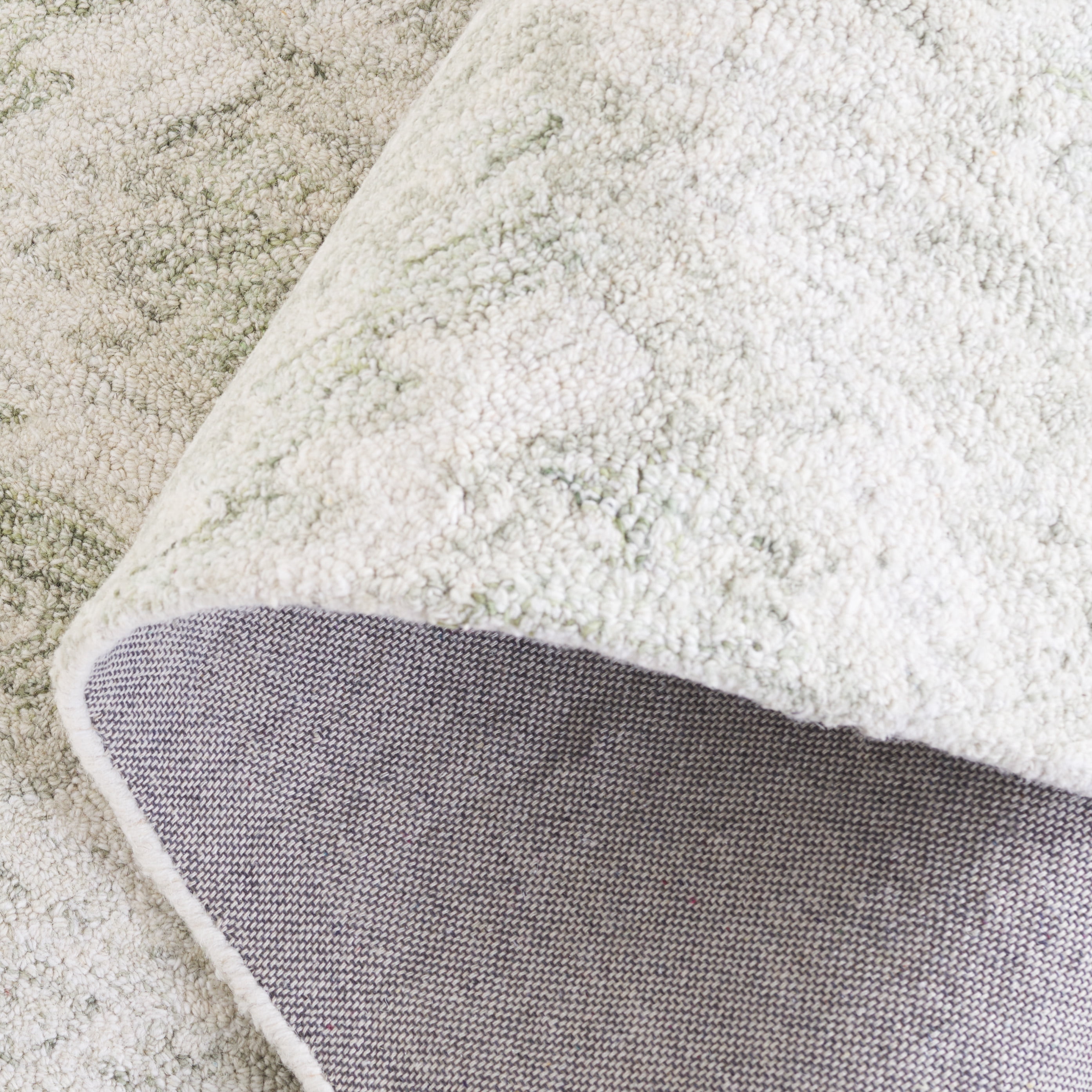 SAFAVIEH Ebony Ibrahim Distressed Area Rug, Ivory/Light Green, 6' x 6' Round