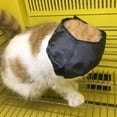 thumbnail image 3 of Mascarilla facial para gatos, ayuda para el cuidado de gatos, herramientas para prevenir arañazos y mordeduras (M), 3 of 10