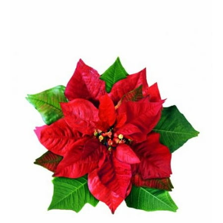 EuroQuest Imports Poinsettia Parchment Leaves, Set of 20  Walmart.com