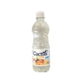 thumbnail image 1 of Pack de 16 Agua Cactus Surtido de 500ml Cactus Surtido de 500ml, 1 of 3