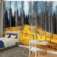 thumbnail image 2 of Peel and Stick Wallpaper Autumn Forest Birch Trees Golden Grass Landscape Modern Art Wall Mural Decor Self Adhesive and Removable 100in x 144in, 2 of 8