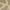 Coffee/Sand, variant on SAFAVIEH Courtyard Chester Floral Indoor/Outdoor Area Rug, 5'3" x 7'7", Rust/Sand