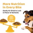 thumbnail image 4 of iPaw Air-dried Turkey Dog Treats, Puppy Training Treat, 3.5oz, 4 of 7