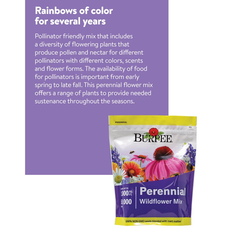 Burpee Perennial Wildflower Mix When To Plant edu.svet.gob.gt