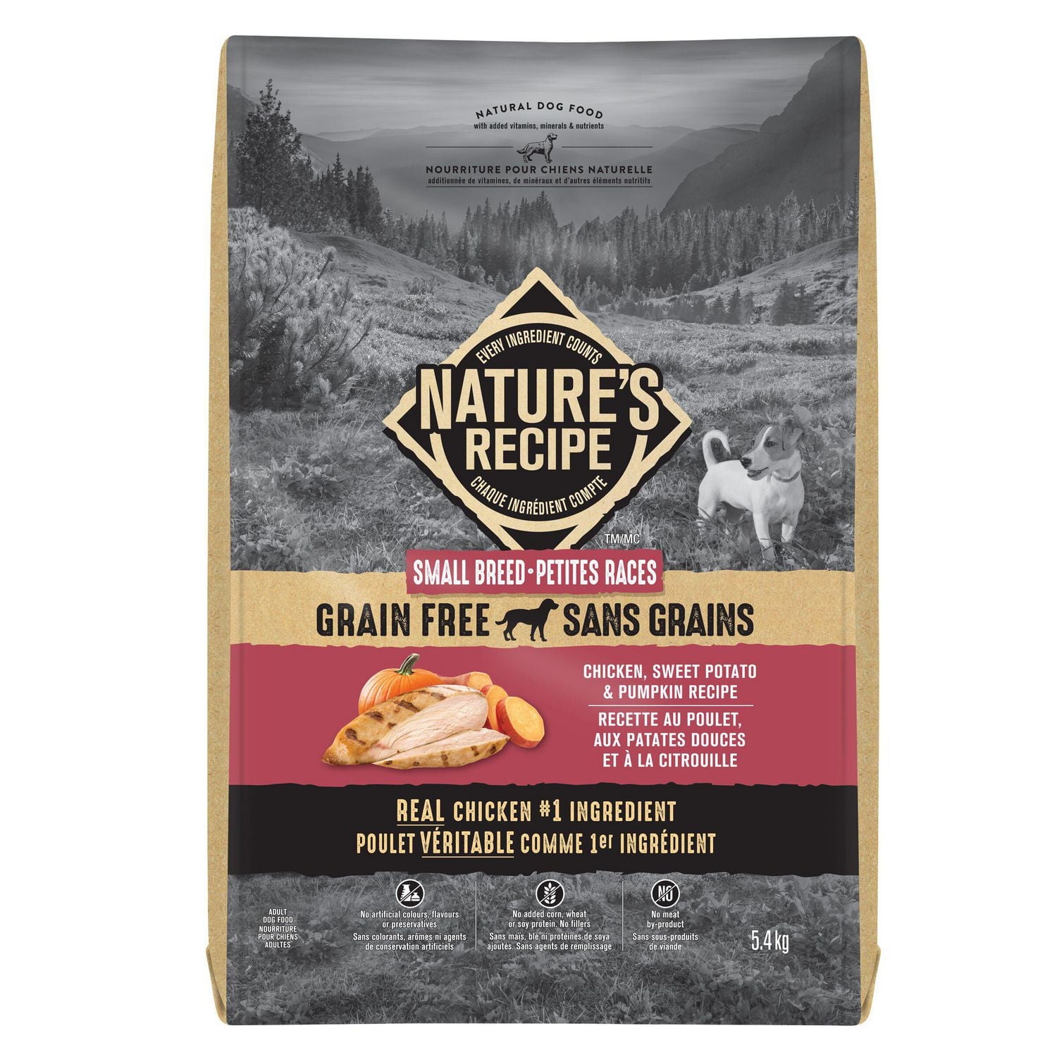 Is Grain Free Diet Good for Small Dogs: Essential Health Facts