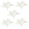 thumbnail image 1 of 50 Pcs Natural Ostrich Feathers Wedding Party Decoration White 45-50cm, 1 of 3