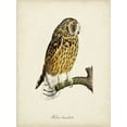 thumbnail image 2 of de Langlois 15x18 Black Ornate Wood Framed with Double Matting Museum Art Print Titled - French Owls II, 2 of 4