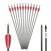 Carbon Arrow 29 Inch 12-Pack Hunting Arrows Spine 400 for 30-65lb Bows Archery Compound & Recurve & Traditional Bow