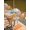 White Orange Grey, variant on Outdoor Tablecloth with Umbrella Hole and Zipper, Orange Pumpkin Gnomes Fall Rectangle Table Cloth 54x80 Inch Waterproof Tablecloth, Branches Leaves Thanksgiving Botanical Picnic Table Cover