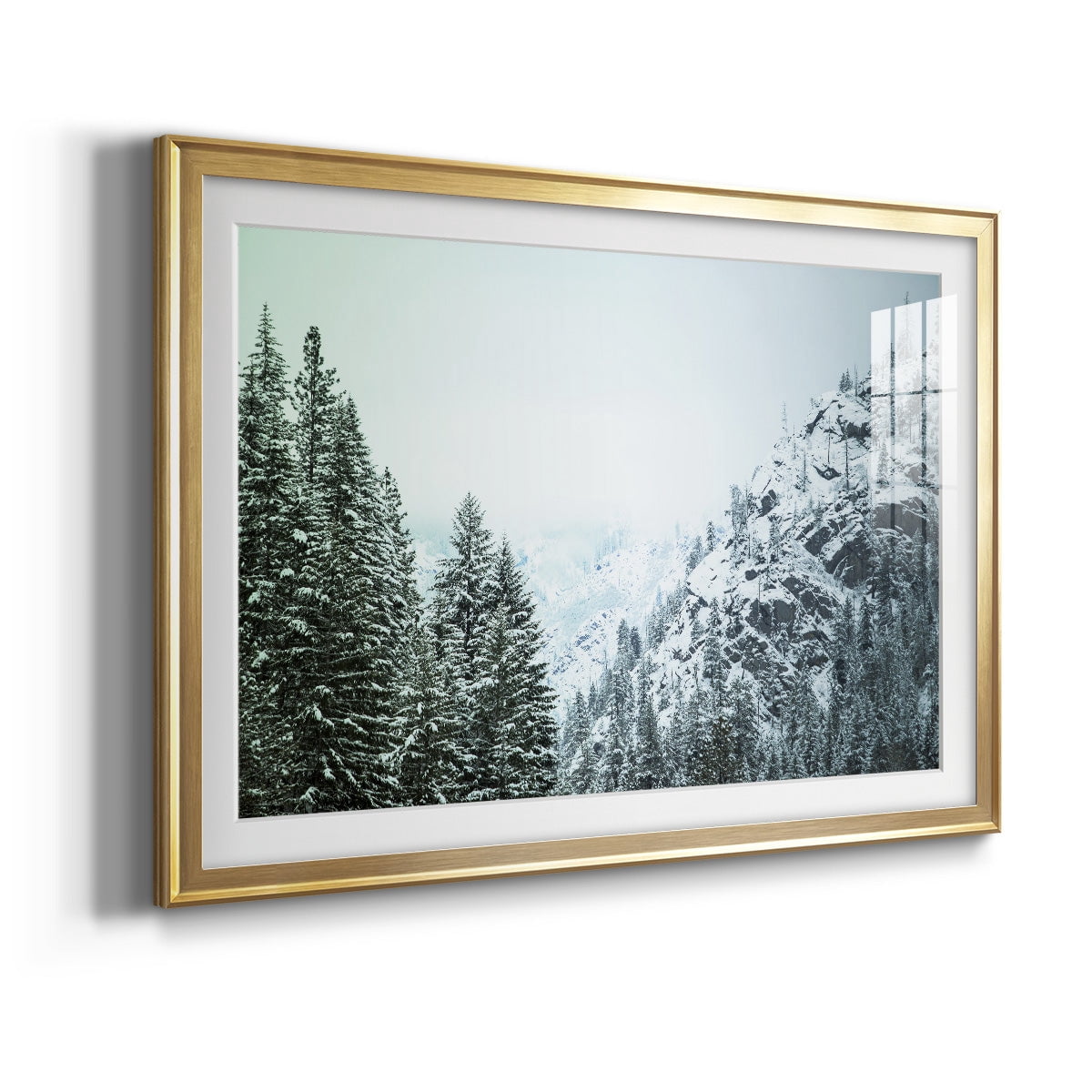 Snowfall in Cascadia II V1 Premium Framed Print - Ready to Hang