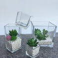 Axio 4Pcs Delicate Square Transparent Hydroponic Containers Green