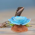 thumbnail image 4 of unbranded Multicolor Para Hábitats De Reptiles Y Acuarios Con Planta Artificial, 4 of 6