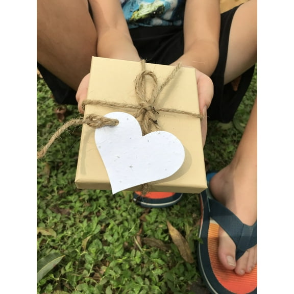 Gift Tags, Hang Tags, Price Tags with String - 50 Pieces of Plantable Heart Shaped Gift Tags, White Gift Tags, Gift Tags with Holes, Thank You Gift Tags, Blank Gift Tags Christmas G