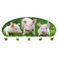 thumbnail image 1 of Next Innovations 101211001 23 x 10 in. Wall Mounted 5 Hooks Pig Coat Rack, 1 of 1