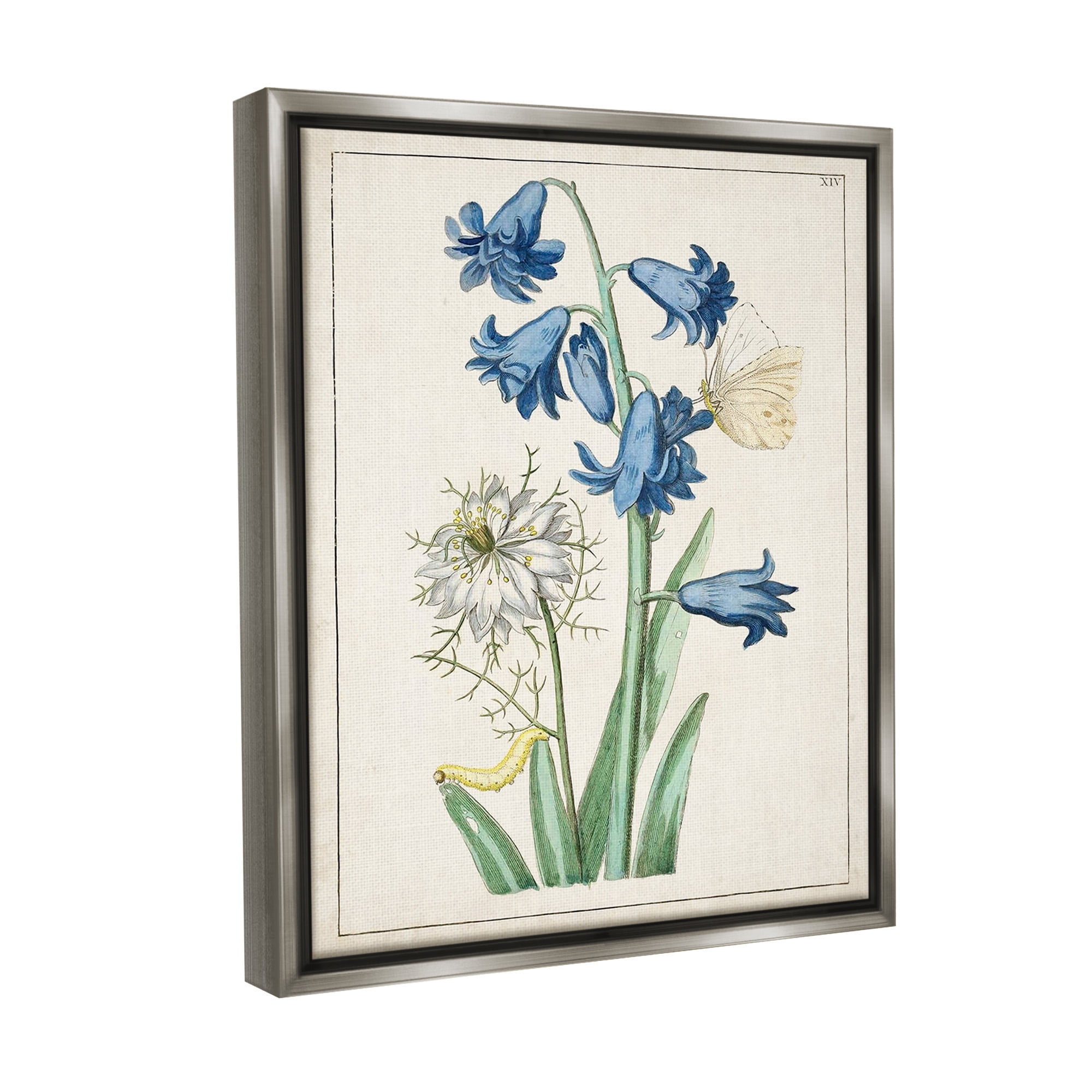 Stupell Industries Nature Bulbs with Moth Botanical & Floral Painting Gray Floater Framed Canvas Art Print Wall Art, 17 x 21
