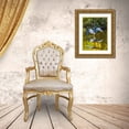 thumbnail image 3 of Friel, Bernard 12x14 Gold Ornate Wood Framed with Double Matting Museum Art Print Titled - USA-Florida-Sarasota-Myakka River State Park-Tricolored Heron, 3 of 4