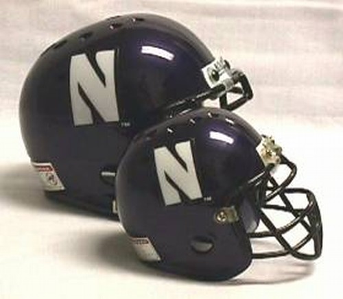 Northwestern Wildcats Micro Helmet 