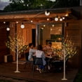 thumbnail image 2 of LIGHTSHARE 6 Feet 72L LED Birch Tree Lights, Pack of 2, Warm White, for Holiday Party and Christmas Decoration, Indoor and Outdoor Use, 2 of 5