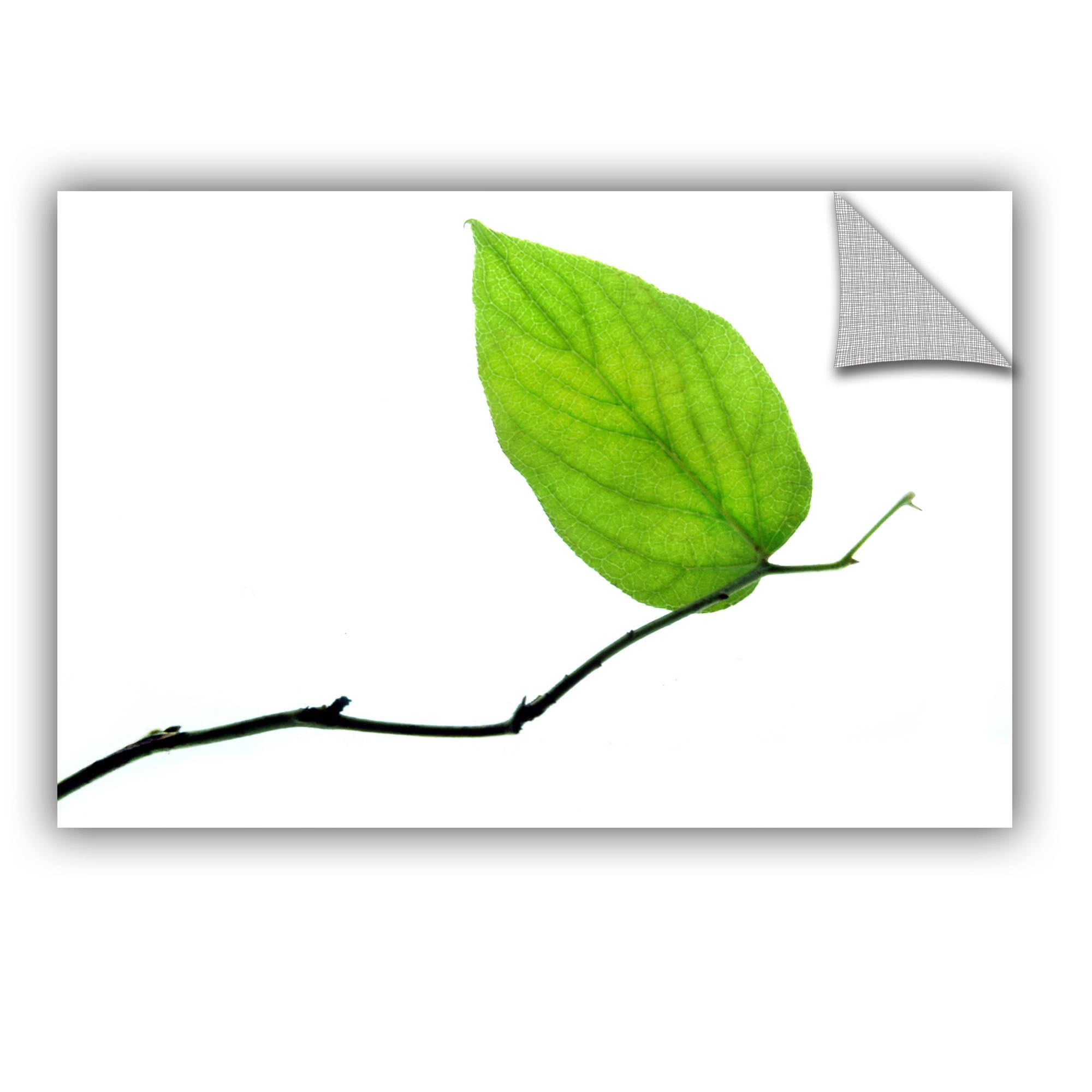 ArtAppealz Dan Holm "Lone Leaf" Removable Wall Art
