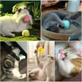 thumbnail image 5 of Juguete interactivo para gatos con pájaros chillones, ranas y grillos, pelotas de peluche para perseguir (3 unidades), 5 of 5