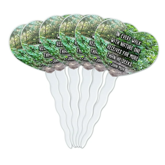 In Every Walk with Nature John Muir Heart Love Cupcake Picks Toppers Decoration Set of 6