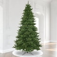 thumbnail image 4 of Vickerman A860985 9.5 x 66 Camdon 3006T 2 Unités, 4 of 4