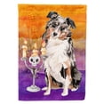 thumbnail image 1 of Carolines Treasures CK3196GF Hallween Australian Shepherd Garden Size Flag, 1 of 3