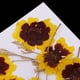 thumbnail image 4 of 12x Flores Secas Naturales para La Decoración de Del Teléfono Resina Moldura Manualidades Suministro, 4 of 9