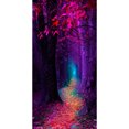 thumbnail image 2 of Cuadros Decorativos Dream Forest Trail Pintura al óleo por número DIY Canvas Wall Art Picture Craft Decor Ndcxsfigh Nuevos Originales, 2 of 9