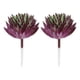 thumbnail image 1 of Uxcell Mini Suculentas Artificiales Sin Maceta Picos de Suculentas Falsas Plantas Suculentas Morado Oscuro Verde 2 Paquete, 1 of 6