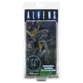 thumbnail image 3 of Aliens - 7" Scale Action Figure - Series 12 - Blue Battle Damaged Warrior - NECA, 3 of 4