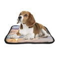thumbnail image 2 of PKQWTM Seychelles Tropical Beach At Sunset Nature Pet Dog Cat Bed Pee Pads Mat Cushion Potty Dogs Blankets Crate Bed Kennel 20x24 inch, 2 of 3