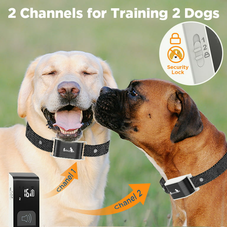 Shock Collar, Dog Training Collar with Remote for 20-100 lbs Medium,Large  Dogs, IPX7 Waterproof Electric Collar with Vibration, Beep, Shock Modes for  1000Ft, Adjustable 0-16 Levels E-Collar 